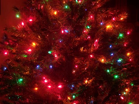 amazon prime christmas tree lights